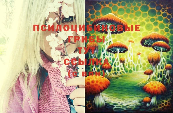 мдпв Белоозёрский