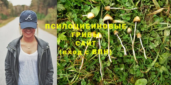 мескалин Богородицк