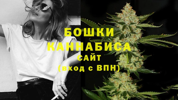мескалин Богородицк